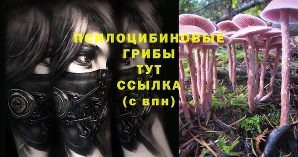 спиды Инсар