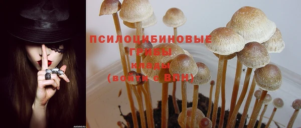 альфа пвп Иннополис
