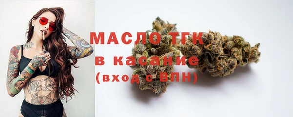 спиды Инсар