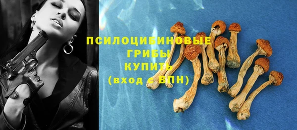 кокс Инта