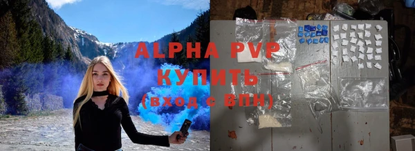 спиды Инсар