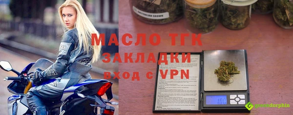 спиды Инсар
