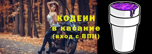 спиды Инсар